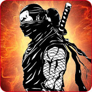 Ninja Warrior Shadow Mod
