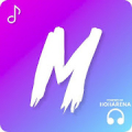Music Player - Pro icon