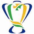 Copa do Brasil 2020 Mod