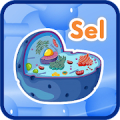 Sel Biologi 3D Struktur APK