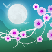 Blooming Night Pro Live WP Mod