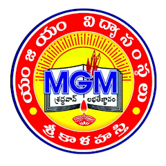 MGM SCHOOL icon
