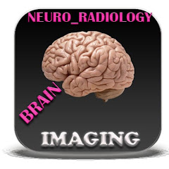 Diagnostic Neuroradiology icon