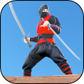 Ninja Warrior Assassin Hero Mod