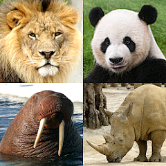 Animals Quiz Learn All Mammals Mod