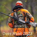 Wild Deer hunter:  Animal Hunting Games‏ Mod