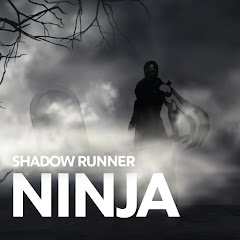 Скачать Shadow Runner 1.2 для Android