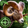 Vahşi Avcı - Wild Hunter 3D Mod