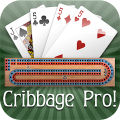 Cribbage Pro Online!‏ Mod