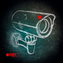 Beholder: Adventure APK+MOD v2.6.257 Beholder: Adventure