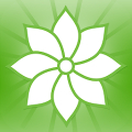 Mindfulness: 2012 icon