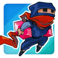 Rogue Ninja icon