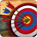 Archery Shooter 3D icon