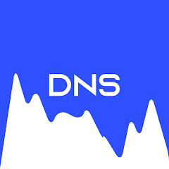 Neurox - DNS Changer MOD