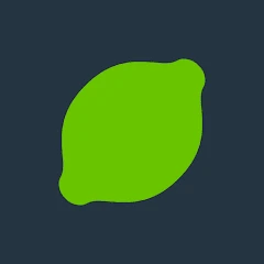Lime Launcher - Minimal & fast Mod Apk [Unlocked][Pro]