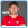 Timnas Indonesia Mod