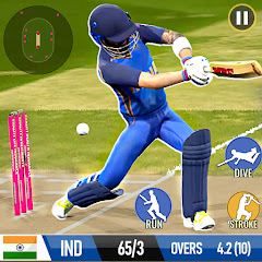 Cricket Game: Bat Ball Game 3D Mod Apk