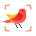 Picture Bird - Bird Identifier Mod