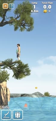 Flip Diving mod