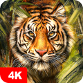 Tiger Wallpapers 4K Mod