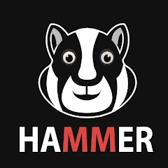 Hammer Hamtser VPN : Proxy Mod Apk 
