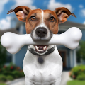 Animal Shelter Pet Vet Rescue APK