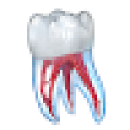الرسوم التوضيحية للأسنان Mod