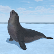 Seal Island icon