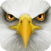 Ultimate Bird Simulator