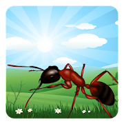 Ant Farm Mod