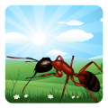 Ant Farm‏ Mod