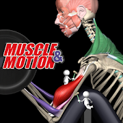 Strength by Muscle and Motion Mod