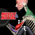 Силовые тренировки от Muscle & Motion Mod