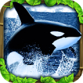 Orca Simulator icon