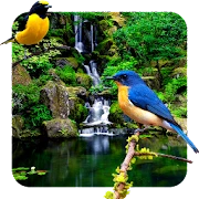 3D birds parallax PRO