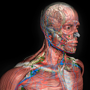 Human Anatomy APK Download for Android Free