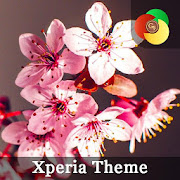 Spring flowers theme for  Xper Mod