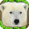 Polar Bear Simulator‏ Mod