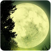 Firefly Forest Live Wallpaper