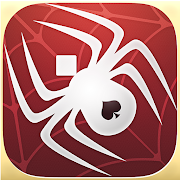 Spider Solitaire+ icon