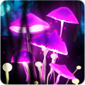 Mushroom Firefly Jungle LWP‏ Mod