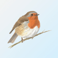 eGuide to British Birds Mod