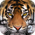 Ultimate Tiger Simulator 2 icon