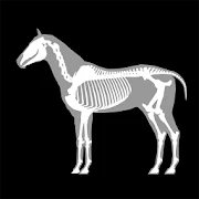 3D Horse Anatomy Мод Apk 1.2 [Оплачивается бесплатно][Бесплатная покупка]