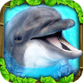Dolphin Simulator Mod