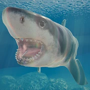 Shark Ocean Mod Apk [Free purchase]