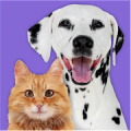 Pet Parade: Cutest Pet Game icon