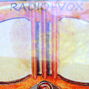 Viper Paranormal's  Radio-Vox Mod