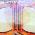 Viper Paranormal's  Radio-Vox‏ Mod