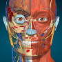 Anatomy Learning - 3D Anatomy APK+MOD v2.1.449 Anatomy Learning - 3D Anatomy